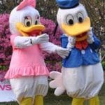 Disney Costumes - image 14358635_1272315416135497_8619434863179486_n-150x150 on https://www.abracadabrafancydress.com.au