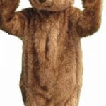 Disney Costumes - image 14441098_1272315396135499_7632355998414749579_n-150x150 on https://www.abracadabrafancydress.com.au