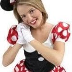 Disney Costumes - image 522284_395143320519382_2107991398_n-150x150 on https://www.abracadabrafancydress.com.au