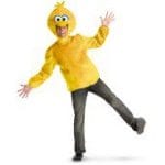 TV and Movie Character Costumes - image 536776_395215197178861_2104243529_n-150x150 on https://www.abracadabrafancydress.com.au