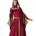 Women’s Costumes - image 546418_393040614062986_883587756_n-150x150 on https://www.abracadabrafancydress.com.au