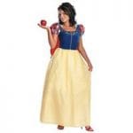 Disney Costumes - image 550094_395136303853417_2122585315_n-150x150 on https://www.abracadabrafancydress.com.au