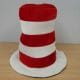 Dr Seuss Cat in the hat Adult Size