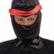 Ninja Hood