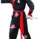 Ninja sweidas
