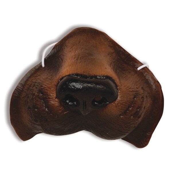 Dog Nose