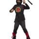 Dragon Ninja Boy Costume