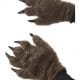 Hairy Monster Hands