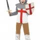 Horrible Histories Knight Costume