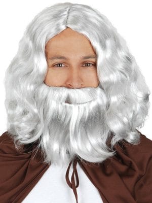 Noah Wig and Beard Grey