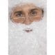 Santa Half Moon Specs