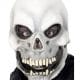 Skull Overhead Mask