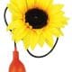Squirt Sunflower Jumbo