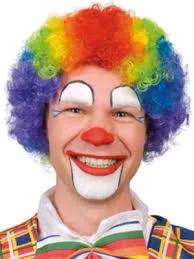 Clown Rainbow Wig