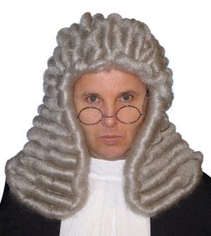 Judge Wig Deluxe Grey