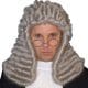 Judge Wig Deluxe Grey