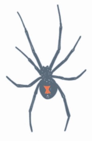 Black Widow - Prison tattoo