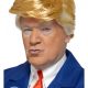 Donald Trump President Wig