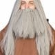 Grey Wig and Beard Set