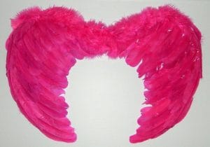 Hot Pink Wings