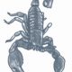 Scorpion - Prison tattoo