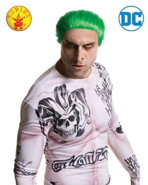 The Joker Wig Adult