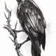 The Raven - Gothic tattoo