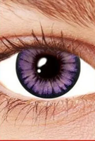 Natural Violet Grey Contacts 3 Month Contact Lenses - image Violet-contacts on https://www.abracadabrafancydress.com.au