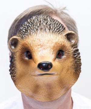 Donkey Mask Shrek Latex Fairy Tale - image ECHIDNA-MASK-300x360 on https://www.abracadabrafancydress.com.au