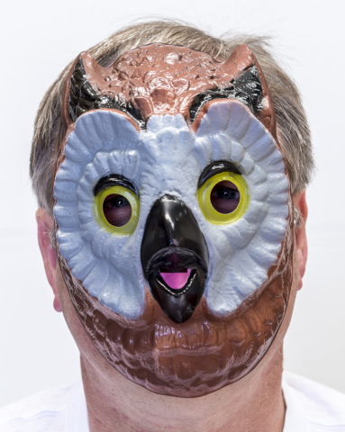 Owl Mask Plastic - image OWL-MASK on https://www.abracadabrafancydress.com.au