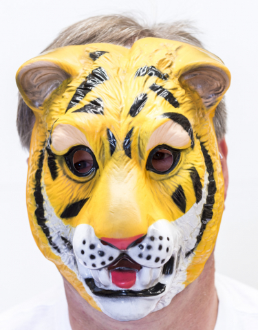 Tiger Mask Plastic - image TIGER-MASK on https://www.abracadabrafancydress.com.au