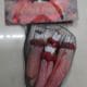 Severed Fingers Cut Off Bloody Didgit Rubber Halloween Horror Decoration Chopped