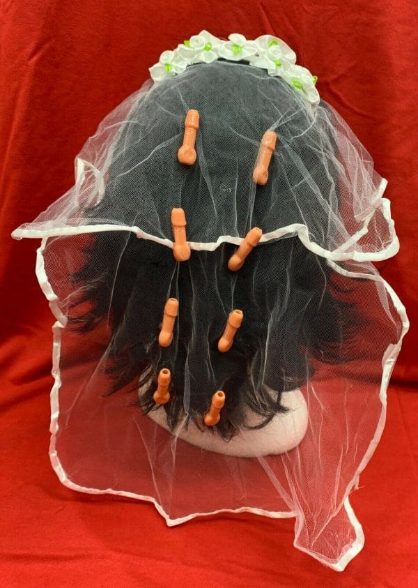 Pecker Veil on Headband Hens Night Party Penis Willy Bachelorette Dress Costume