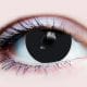 Black - Mini Scleral 15.2 mm 3 Month Contact Lenses
