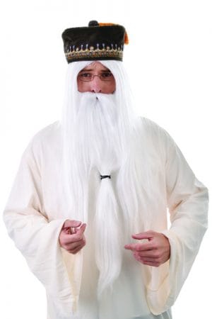 White Wizard Wig & Beard Magician Gandalf Merlin Old Man Lord of the Rings