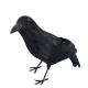 Severed Foot Halloween Decoration Scary Leg Cut Off Body Dead Prop Horror - image  on https://www.abracadabrafancydress.com.au