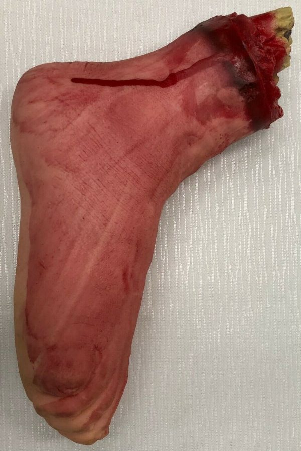 Severed Foot Halloween Decoration Scary Leg Cut Off Body Dead Prop Horror - image s-l1600-21-600x898 on https://www.abracadabrafancydress.com.au