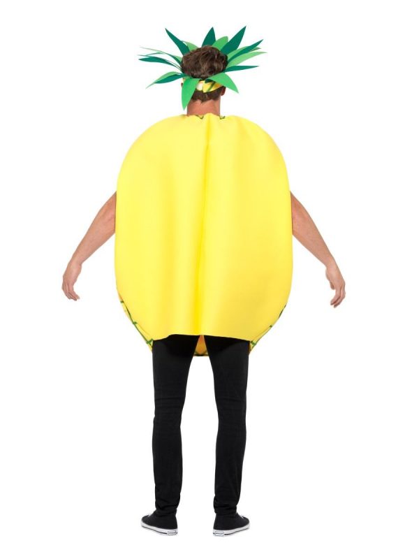 Pineapple Costume Fruit Farm Food Women's Men's Novelty Fancy Dress Up - image 47136_b-600x800 on https://www.abracadabrafancydress.com.au