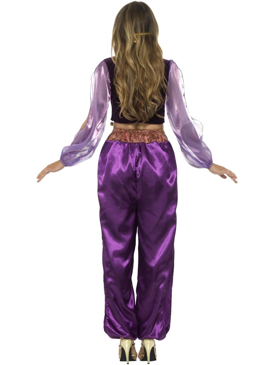 Jasmine Arabian Princess Costume Belly Dancer Aladdin Genie - Abracadabra  Fancy Dress
