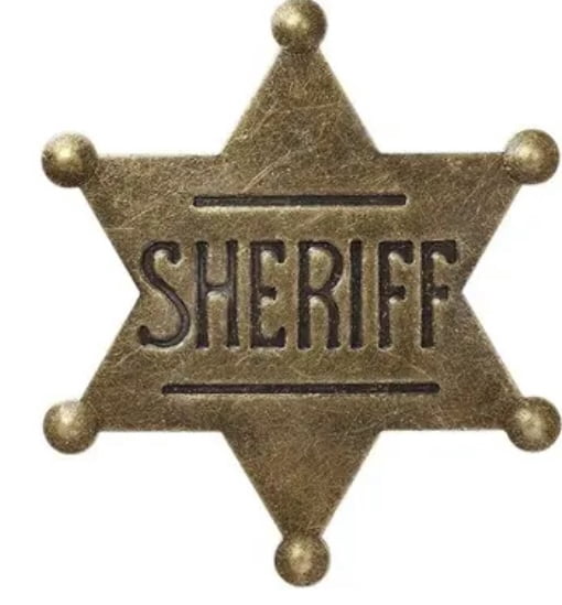 Bronze Metal Sheriff Badge Western Cowgirl Cowboy Wild West - image IMG_0594 on https://www.abracadabrafancydress.com.au