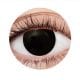 Brilliant Blue Natural 1 Year Contact Lenses - image EFX001_Circle-1-80x80 on https://www.abracadabrafancydress.com.au