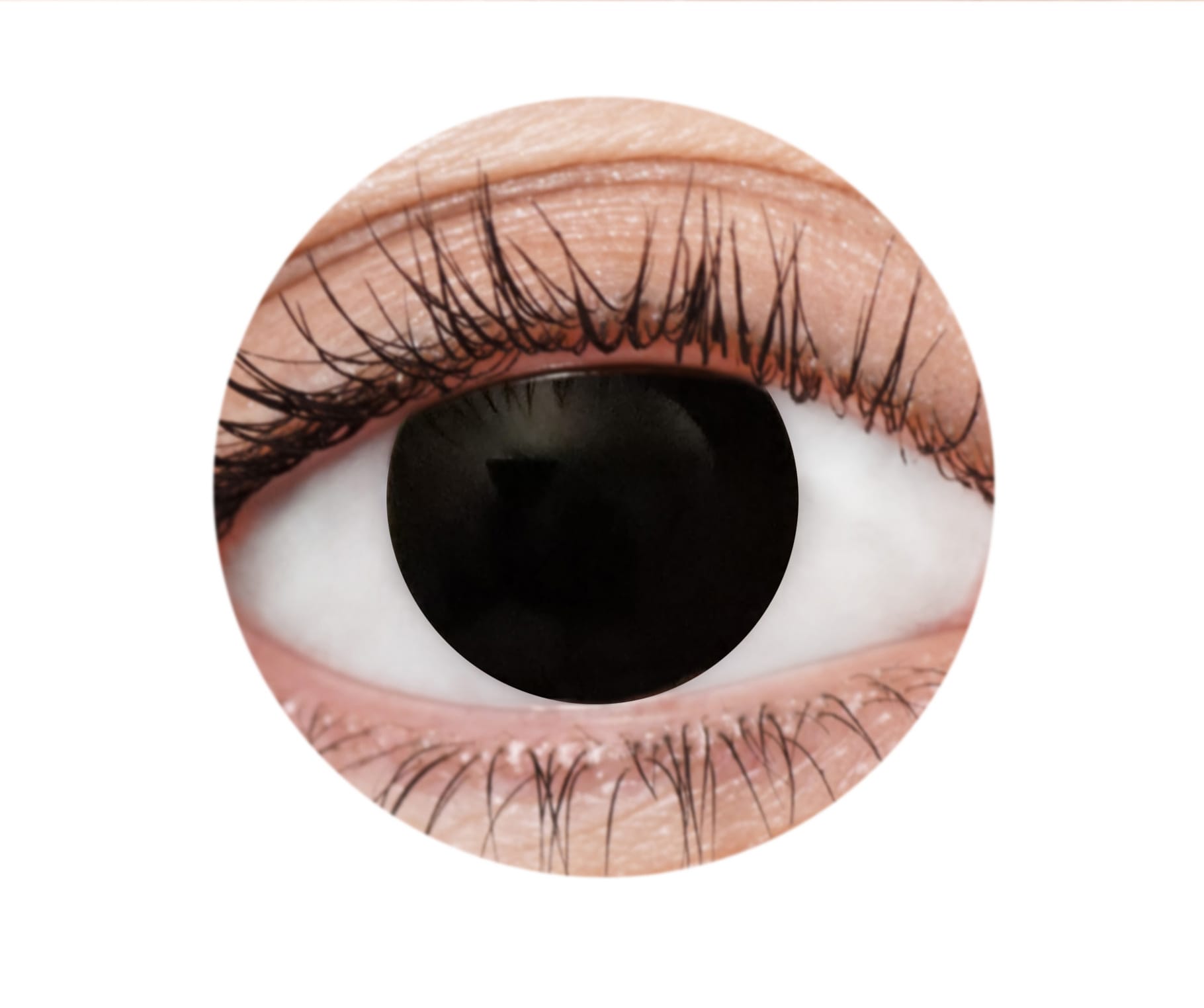 Azure Blue Intense 2 3 Month Contact Lenses - image EFX001_Circle-1 on https://www.abracadabrafancydress.com.au