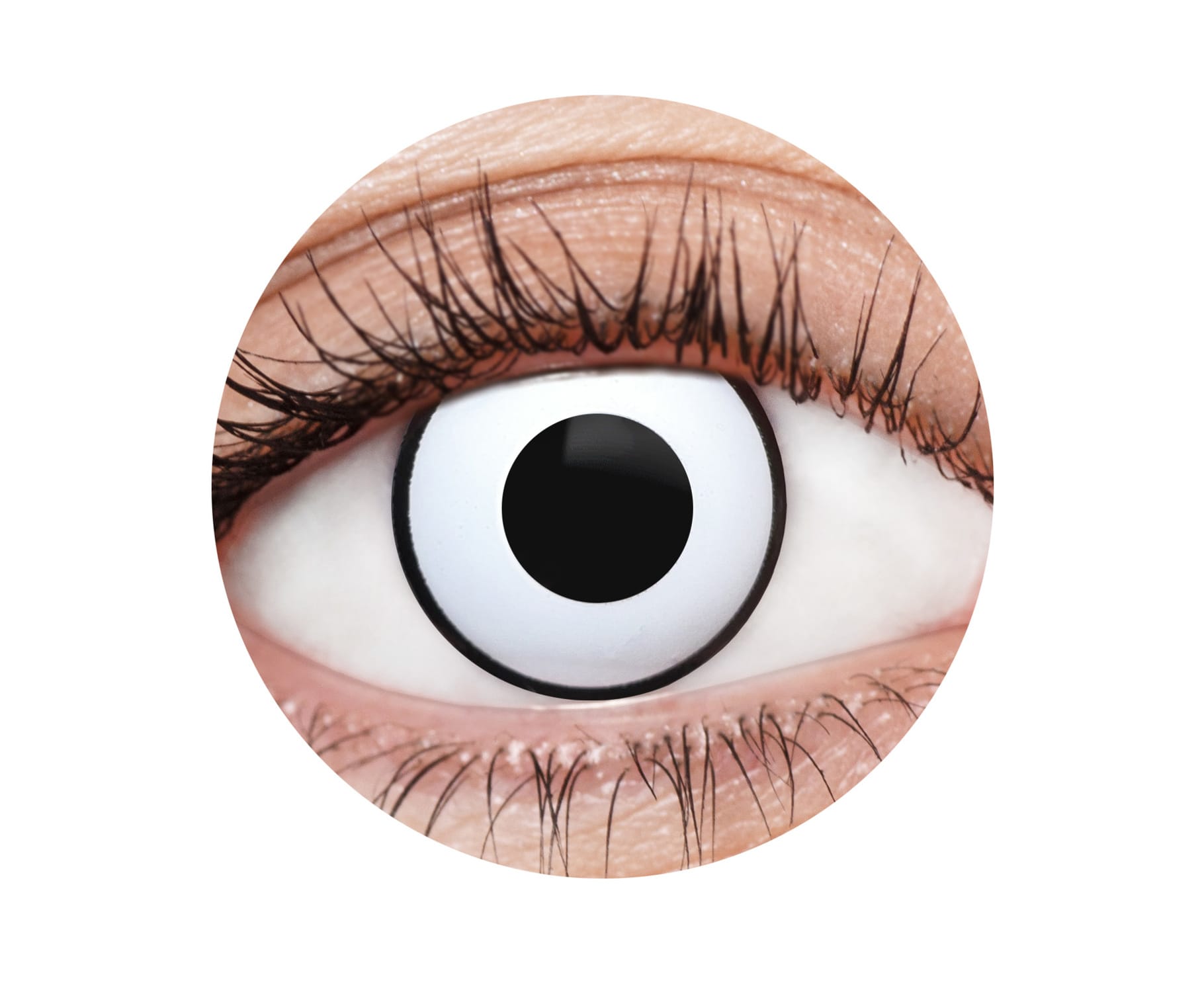 White Cat 1 Year Contact Lenses - image EFX007_Circle on https://www.abracadabrafancydress.com.au