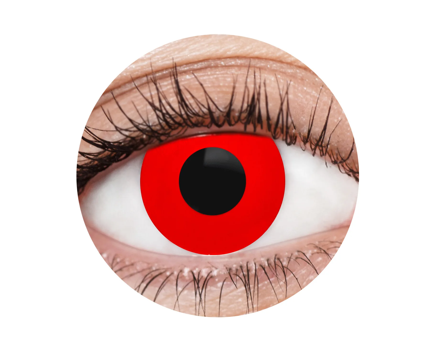 Purple 1 Year Contact Lenses - image EFX022_EFX0022_Circle on https://www.abracadabrafancydress.com.au