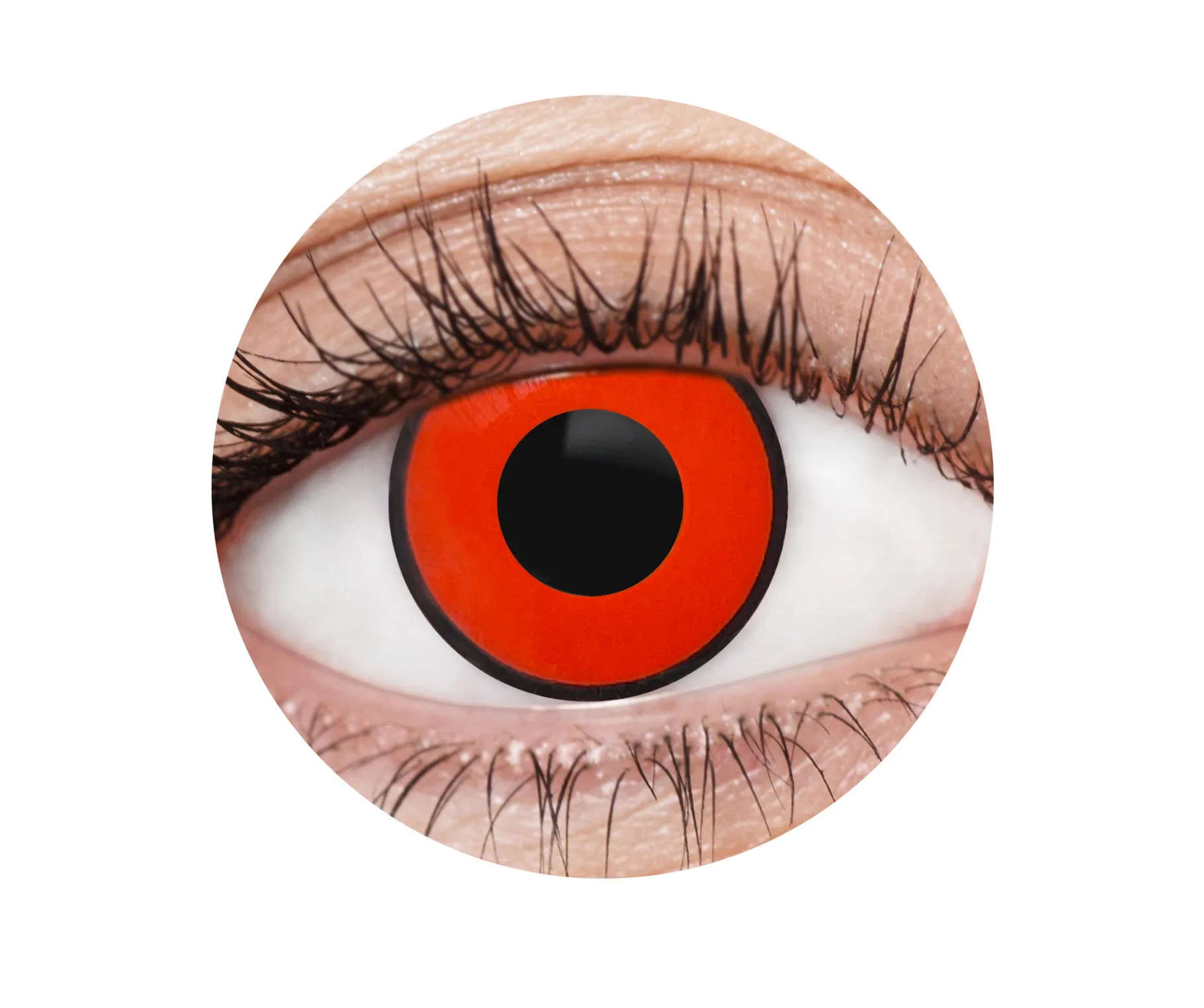 Purple 1 Year Contact Lenses - image EFX023_EFX0023_Circle on https://www.abracadabrafancydress.com.au