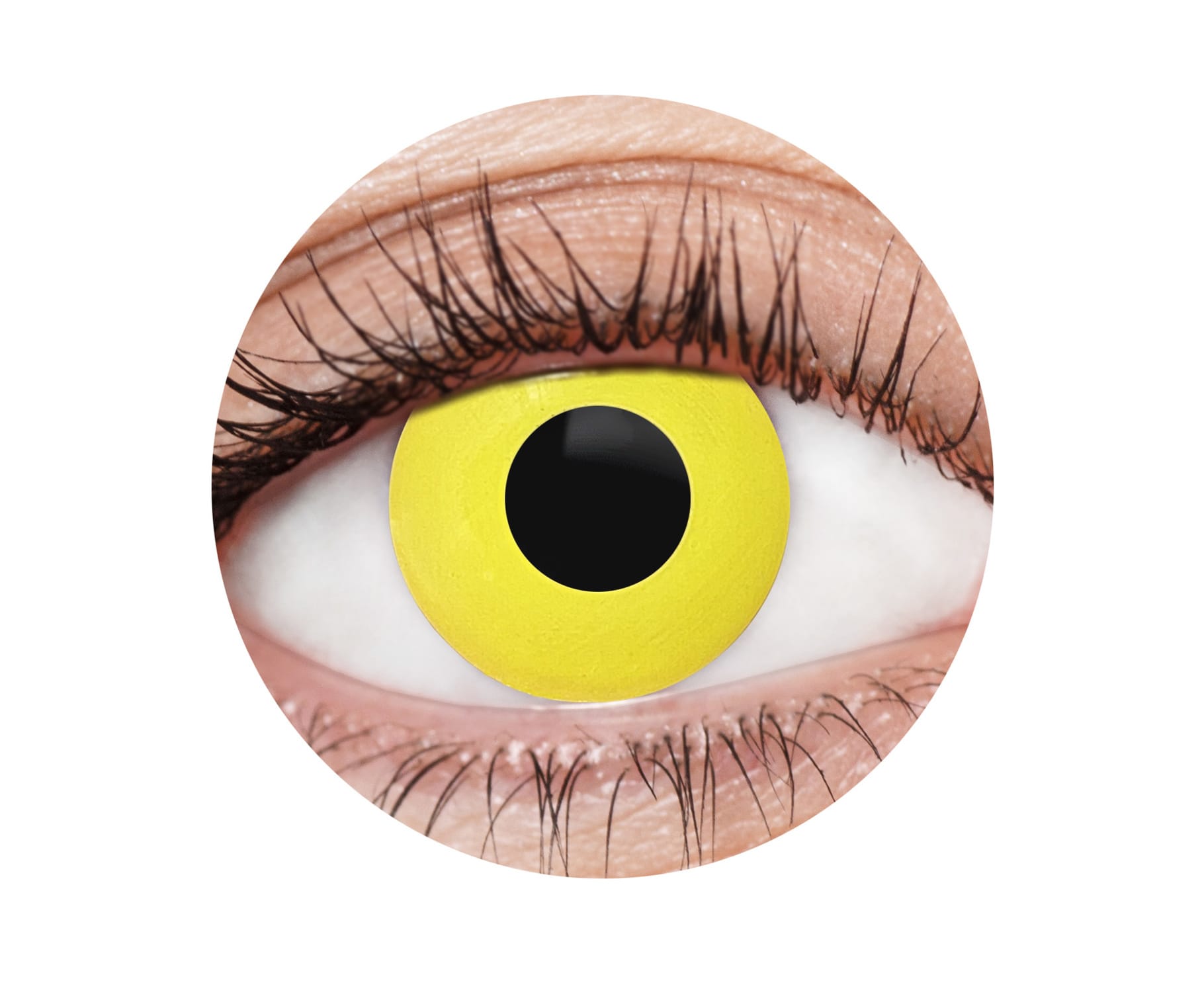 White Cat 1 Year Contact Lenses - image EFX028_EFX0028_Circle on https://www.abracadabrafancydress.com.au