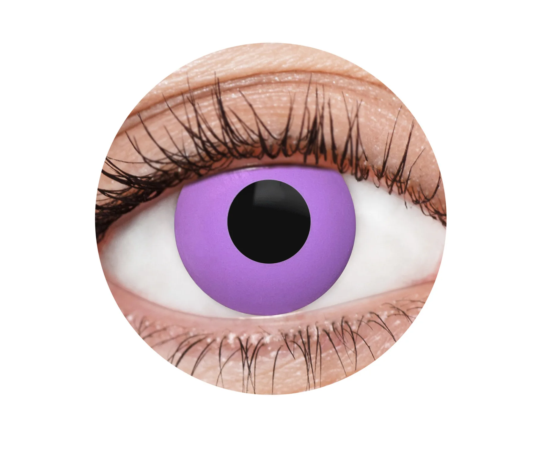 Purple 1 Year Contact Lenses - image EFX036_EFX0036_Circle on https://www.abracadabrafancydress.com.au