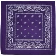 Bandana Orange - image  on https://www.abracadabrafancydress.com.au