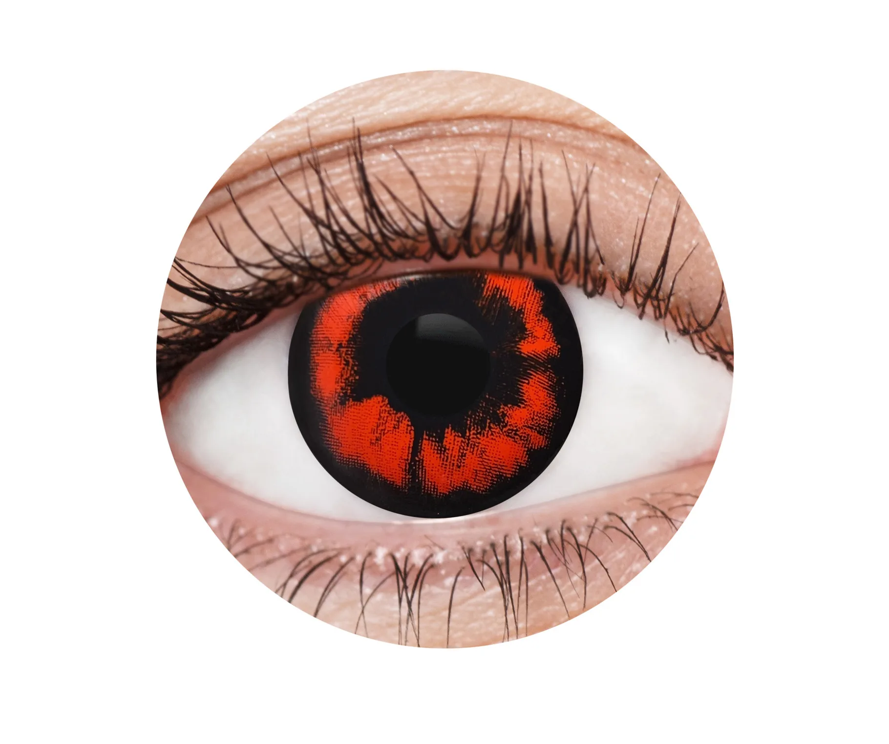 Purple 1 Year Contact Lenses - image EFX024_EFX0024_Circle on https://www.abracadabrafancydress.com.au