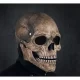 The Conjuring Nun Valak Full Head Creepy Latex Mask With Hood Horror Costume Halloween Scary - image  on https://www.abracadabrafancydress.com.au